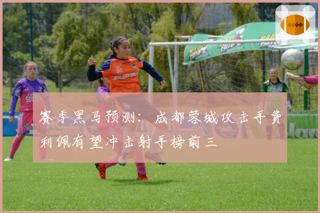 赛季黑马预测:成都蓉城攻击手费利佩有望冲击射手榜前三