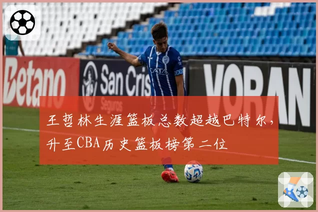 王哲林生涯篮板总数超越巴特尔，升至CBA历史篮板榜第二位