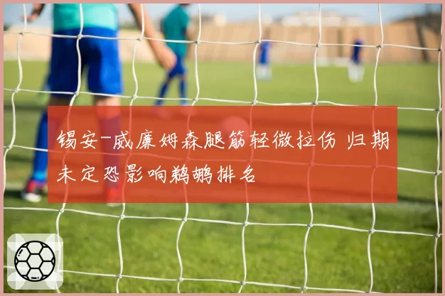 锡安-威廉姆森腿筋轻微拉伤 归期未定恐影响鹈鹕排名