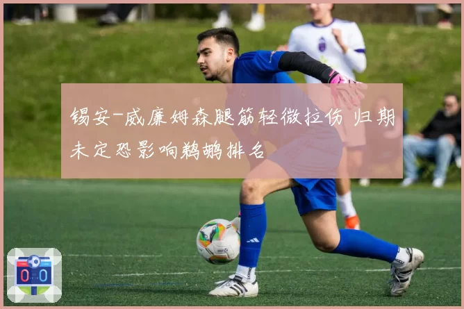 锡安-威廉姆森腿筋轻微拉伤 归期未定恐影响鹈鹕排名