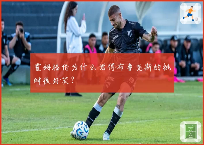 霍姆格伦为什么觉得布鲁克斯的挑衅很好笑？