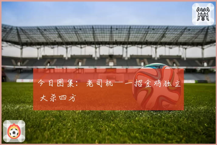 今日图集:老司机—一招金鸡独立 大杀四方