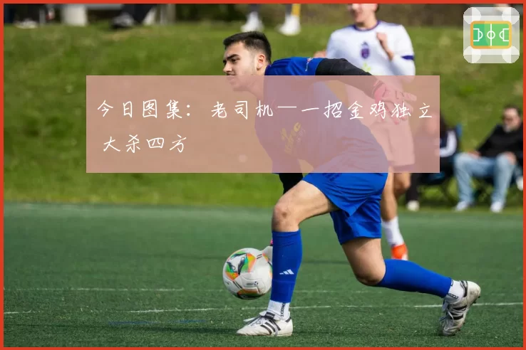 今日图集:老司机—一招金鸡独立 大杀四方